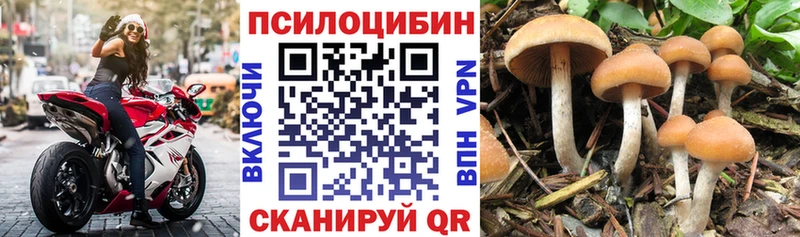 Галлюциногенные грибы прущие грибы  Тбилисская 